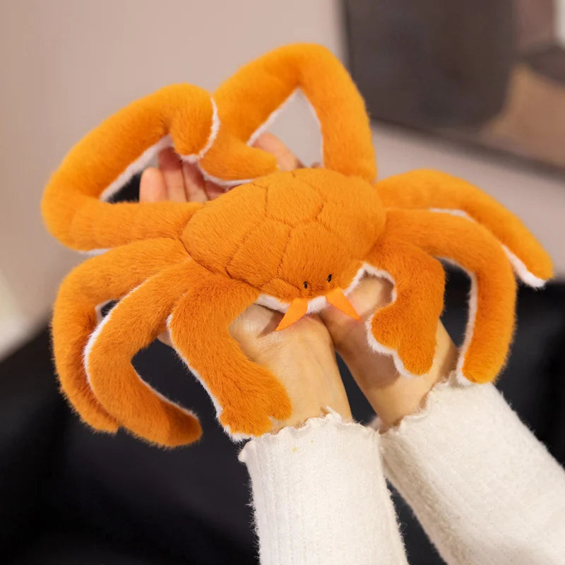 Peluche Araignée de Mer
