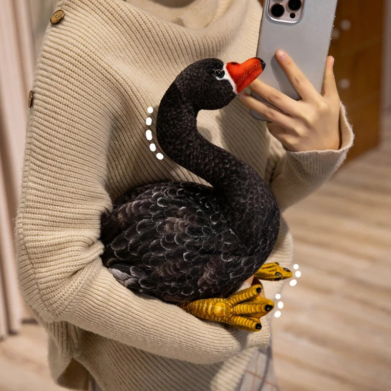 Peluche Cygne