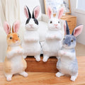 Peluche Lapin Réaliste
