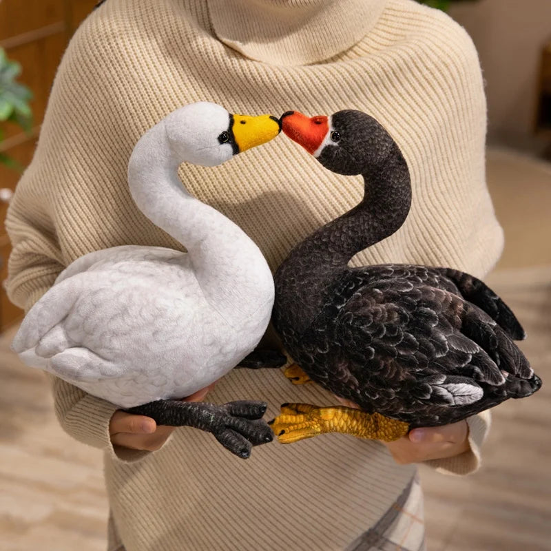 Peluche Cygne