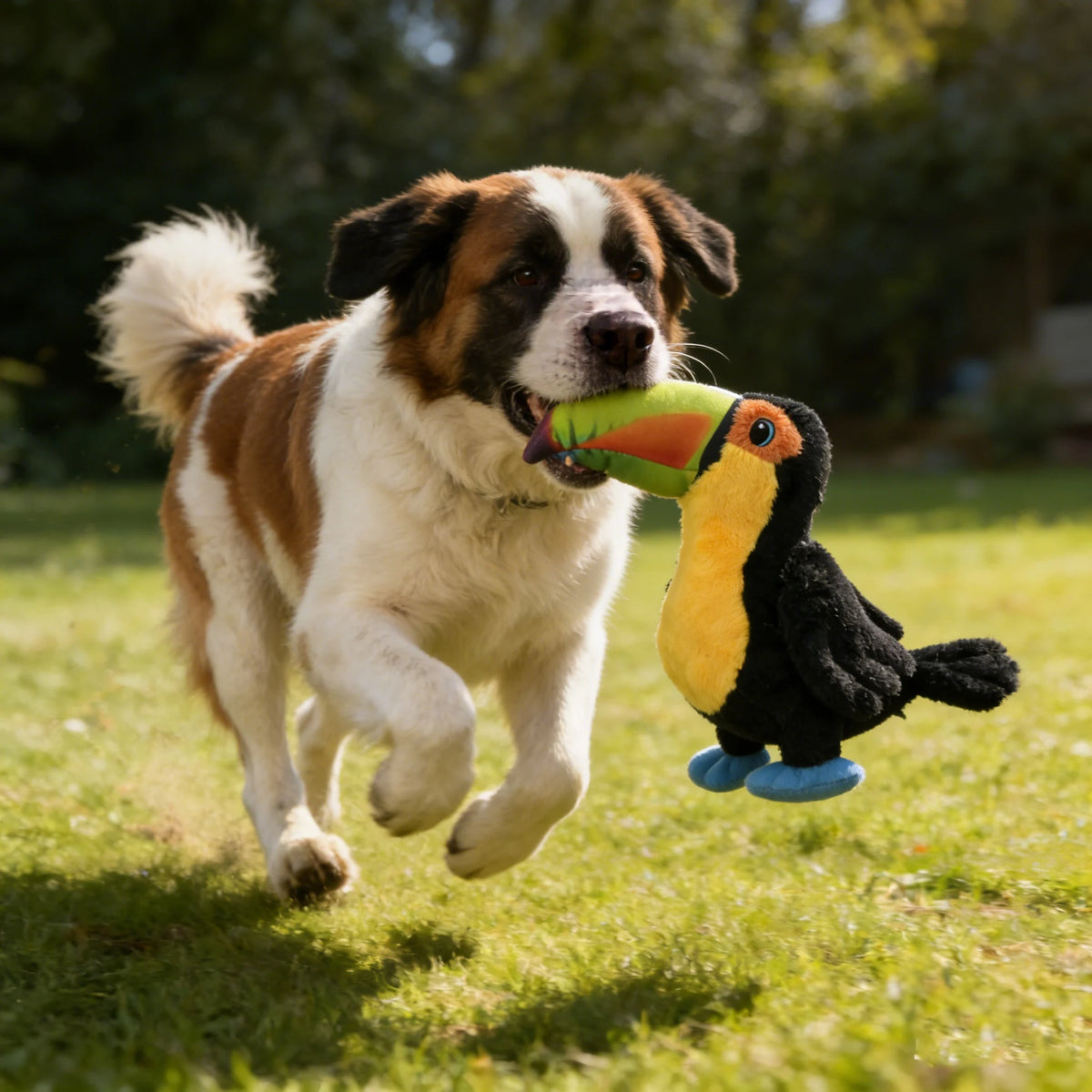 Peluche Toucan Ultra Doux