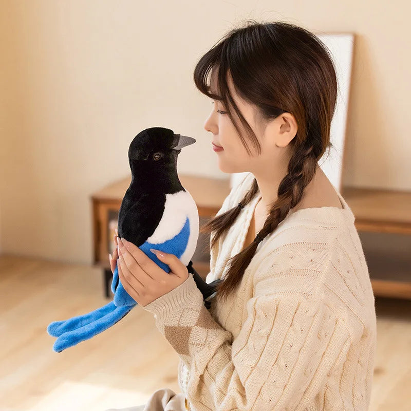Peluche Pigeon Blanc
