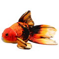 Peluche Poisson Rouge Réaliste