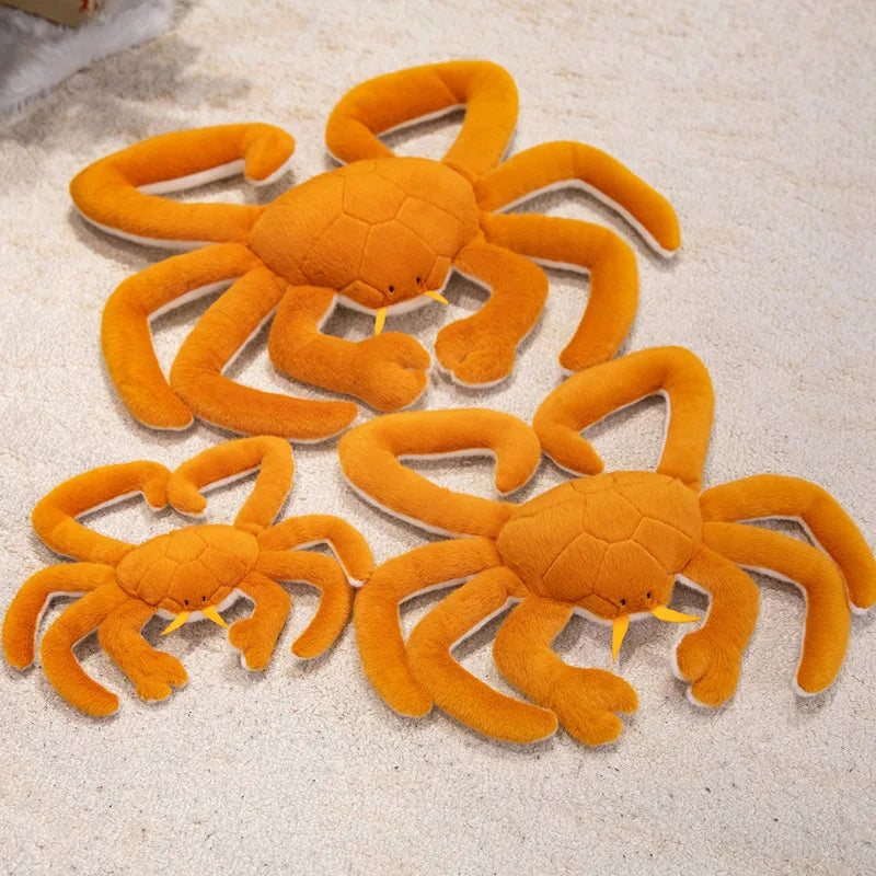 Peluche Araignée de Mer