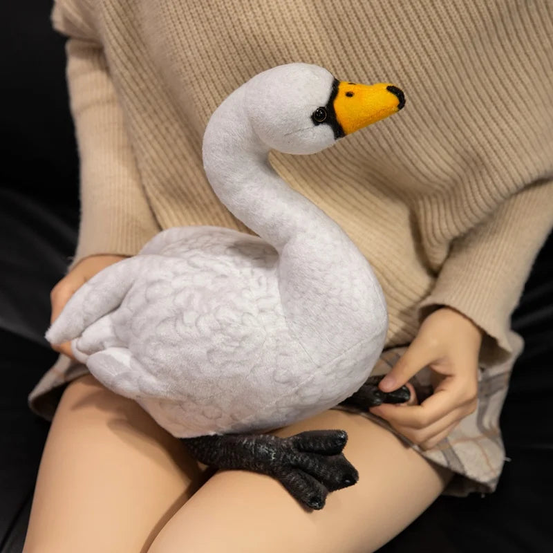 Peluche Cygne